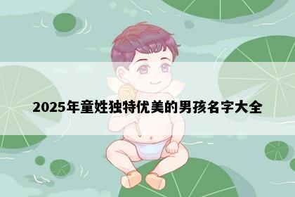 2025年童姓独特优美的男孩名字大全
