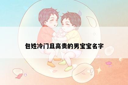包姓冷门且高贵的男宝宝名字