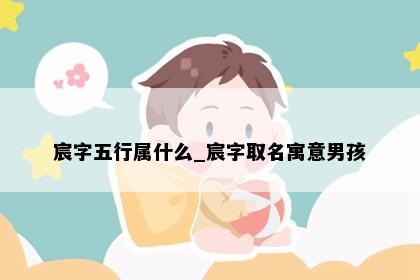 宸字五行属什么_宸字取名寓意男孩
