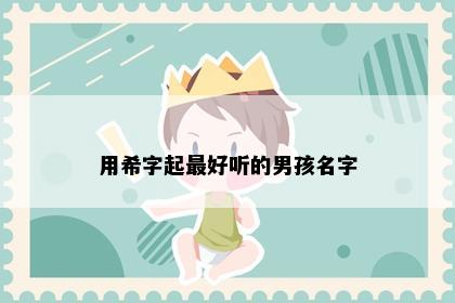 用希字起最好听的男孩名字