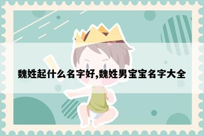 魏姓起什么名字好,魏姓男宝宝名字大全