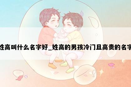 姓高叫什么名字好_姓高的男孩冷门且高贵的名字