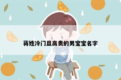 蒋姓冷门且高贵的男宝宝名字