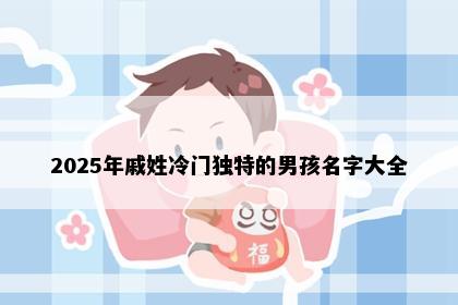 2025年戚姓冷门独特的男孩名字大全