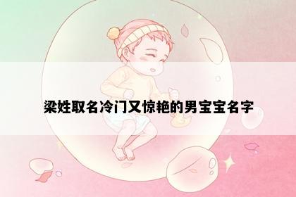 梁姓取名冷门又惊艳的男宝宝名字