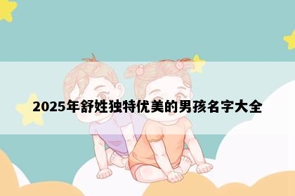 2025年舒姓独特优美的男孩名字大全