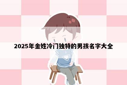 2025年金姓冷门独特的男孩名字大全