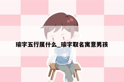 瑜字五行属什么_瑜字取名寓意男孩