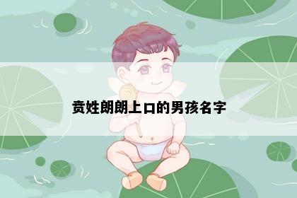 贲姓朗朗上口的男孩名字