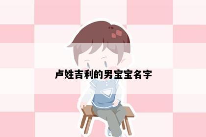 卢姓吉利的男宝宝名字