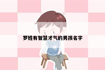 罗姓有智慧才气的男孩名字