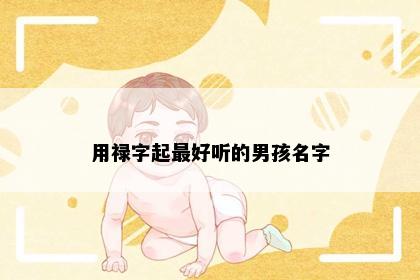 用禄字起最好听的男孩名字