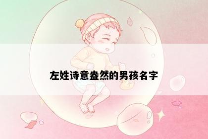 左姓诗意盎然的男孩名字