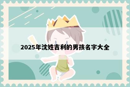 2025年沈姓吉利的男孩名字大全