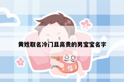 黄姓取名冷门且高贵的男宝宝名字