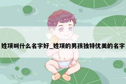 姓项叫什么名字好_姓项的男孩独特优美的名字