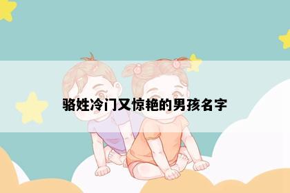 骆姓冷门又惊艳的男孩名字