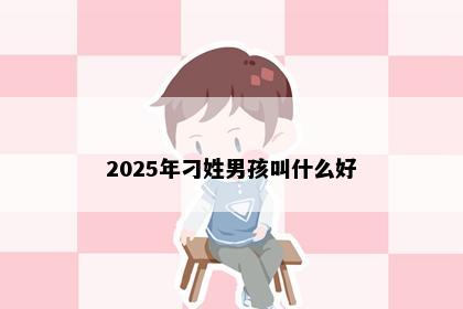 2025年刁姓男孩叫什么好