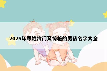 2025年顾姓冷门又惊艳的男孩名字大全