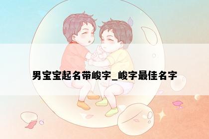 男宝宝起名带峻字_峻字最佳名字