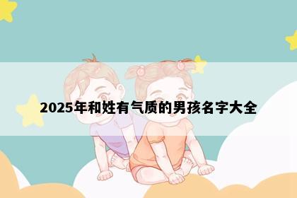 2025年和姓有气质的男孩名字大全