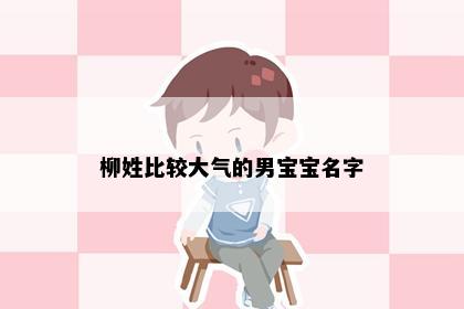 柳姓比较大气的男宝宝名字