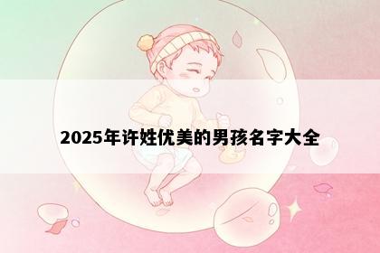 2025年许姓优美的男孩名字大全