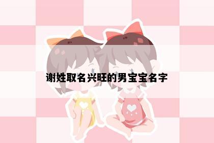 谢姓取名兴旺的男宝宝名字