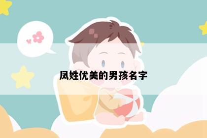 凤姓优美的男孩名字