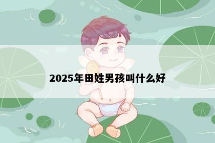 2025年田姓男孩叫什么好