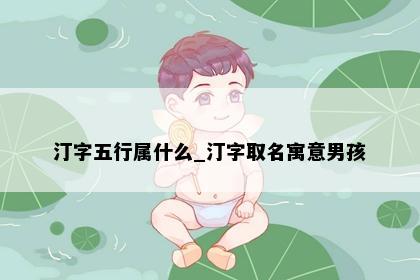 汀字五行属什么_汀字取名寓意男孩