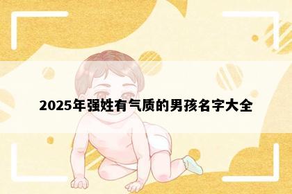 2025年强姓有气质的男孩名字大全