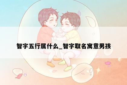 智字五行属什么_智字取名寓意男孩