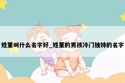 姓董叫什么名字好_姓董的男孩冷门独特的名字