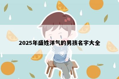 2025年盛姓洋气的男孩名字大全