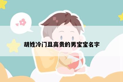 胡姓冷门且高贵的男宝宝名字