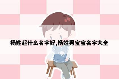 杨姓起什么名字好,杨姓男宝宝名字大全