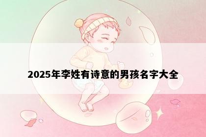 2025年李姓有诗意的男孩名字大全