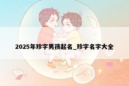 2025年珍字男孩起名_珍字名字大全