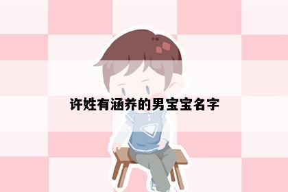 许姓有涵养的男宝宝名字