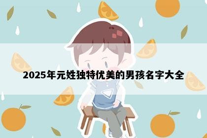 2025年元姓独特优美的男孩名字大全