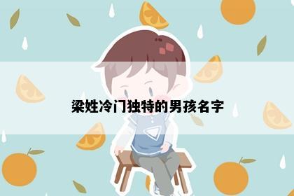 梁姓冷门独特的男孩名字