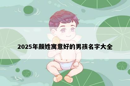 2025年颜姓寓意好的男孩名字大全