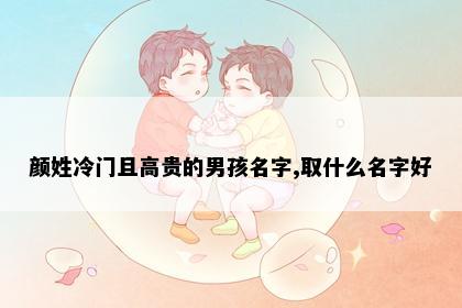 颜姓冷门且高贵的男孩名字,取什么名字好