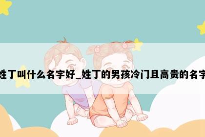 姓丁叫什么名字好_姓丁的男孩冷门且高贵的名字