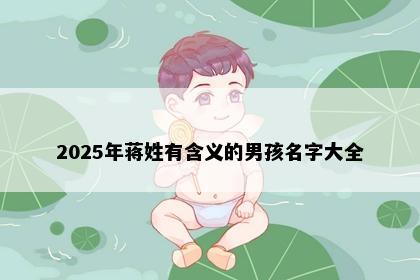 2025年蒋姓有含义的男孩名字大全