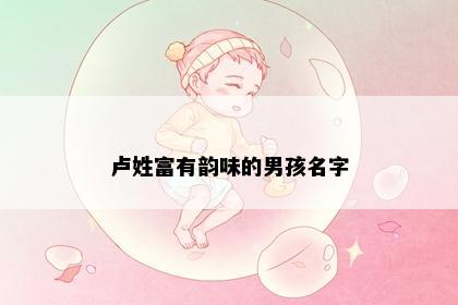 卢姓富有韵味的男孩名字